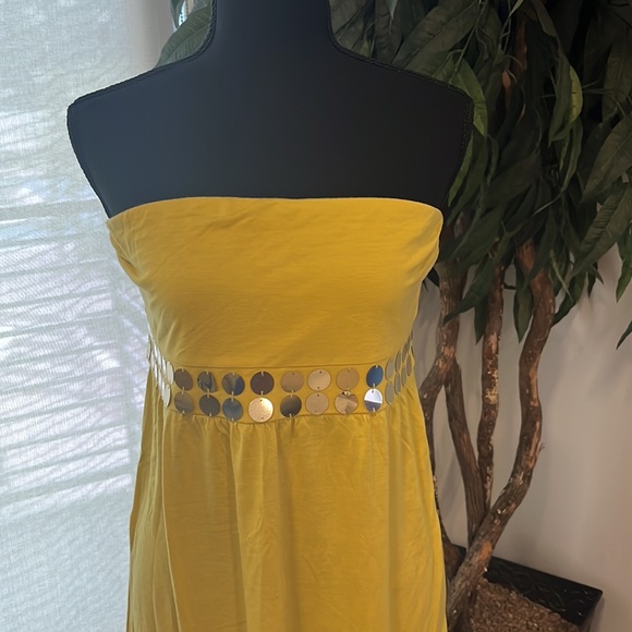 (EUC) Express Strapless Tube Top - Picture 2 of 5